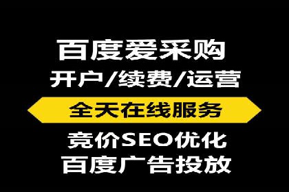 百度竞价赚钱技巧：案例分析